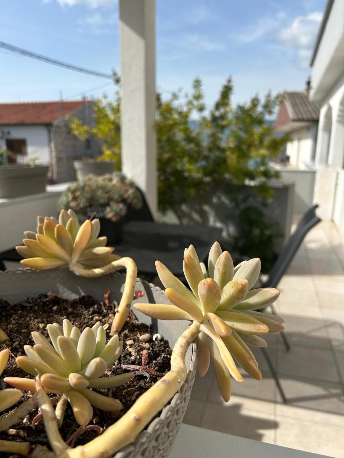 Apartmani Grgic Trogir Zewnętrze zdjęcie